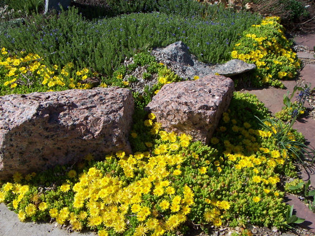 Garden_22