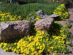 Garden_22