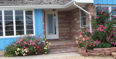 Garden_17